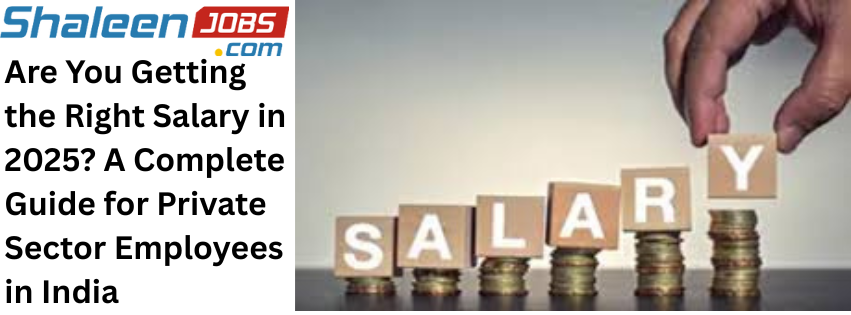 Are You Getting the Right Salary in 2025? A Complete Guide for Private Sector Employees in India